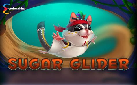Sugar Glider 4